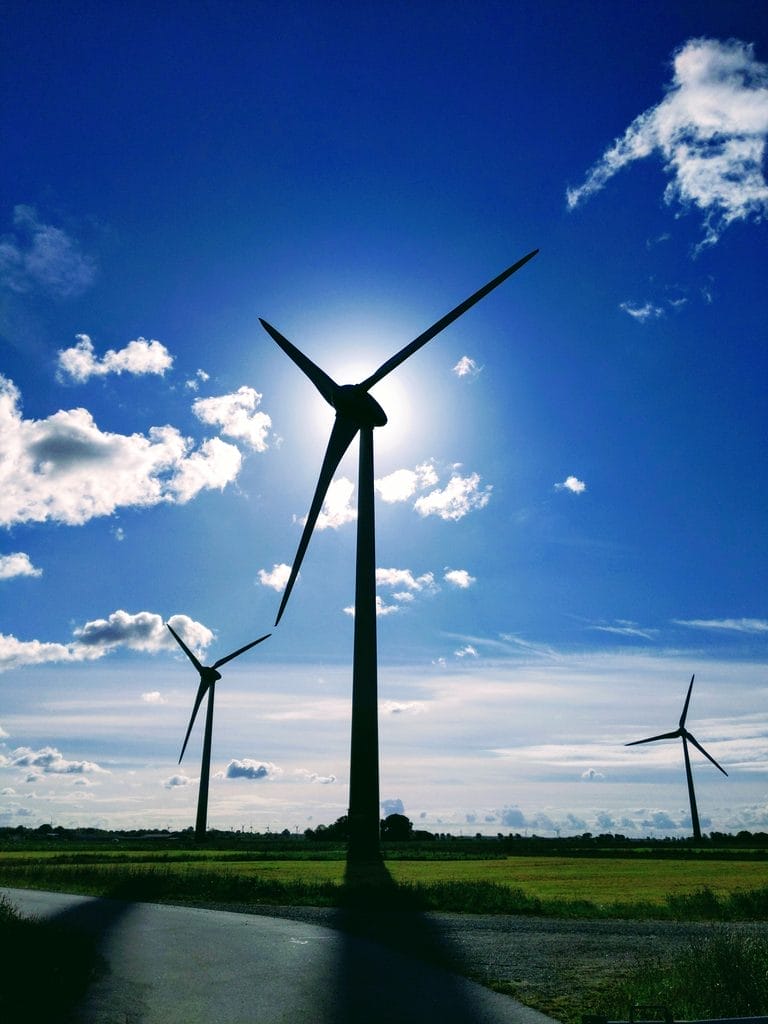 Wind turbines in a field under a blue sky